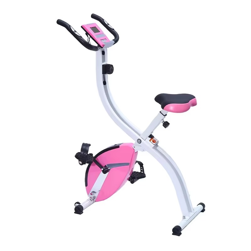 Health Wellness Gym - 자석 제어식 고정식 자전거 - 웰니스