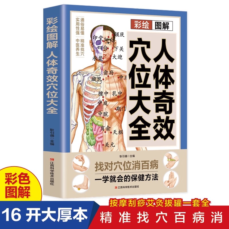 경혈 마사지 및 TCM 건강 보존 가이드, 전통 중국  - Health & Wellness Alegria 리뷰 및 가격
